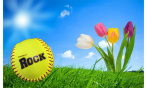 Think Spring!!  Rock Solid
